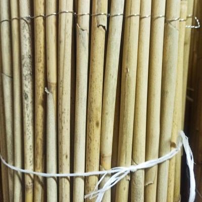 Забор из камыша рулонный 2х3м. 